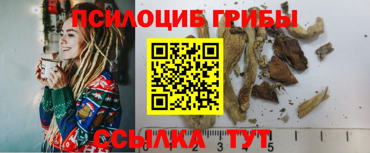Новочеркасск  Псилоцибиновые грибы MAGIC MUSHROOMS  Вход с VPN 